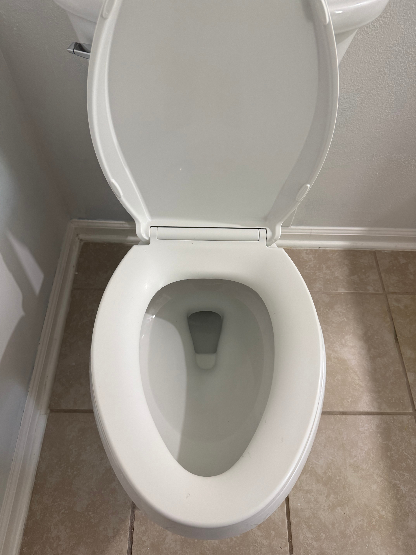 The same toilet cleaned to bright white porcelain